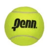 Penn 10 Inch Jumbo Inflatable Tennis Ball -Tennipro Store 581022 4 in penn ball 1a5a5814 9846 4bdd a851 b5009a69d2bd