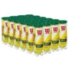 Wilson Championship Regular Duty Tennis Balls - 24 Can Case 2 Wilson Championship Regular Duty Tennis Balls - 24 Can Case -Tennipro Store 81tkkfAHtRL. AC SL1500