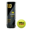 Wilson US Open Extra Duty Tennis Balls 1 Wilson US Open Extra Duty Tennis Balls -Tennipro Store US Open Official Extra Duty 3ball Can Front LOGO 5135b62b bfd1 4074 9182 f51b33156923